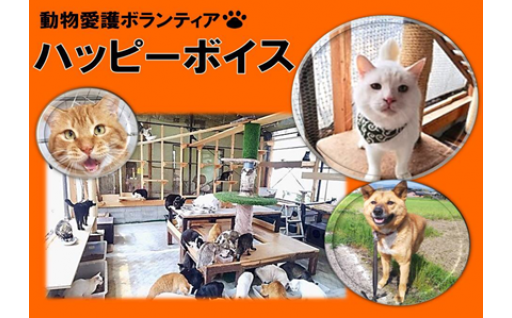 動物愛護ボランティア ハッピーボイス